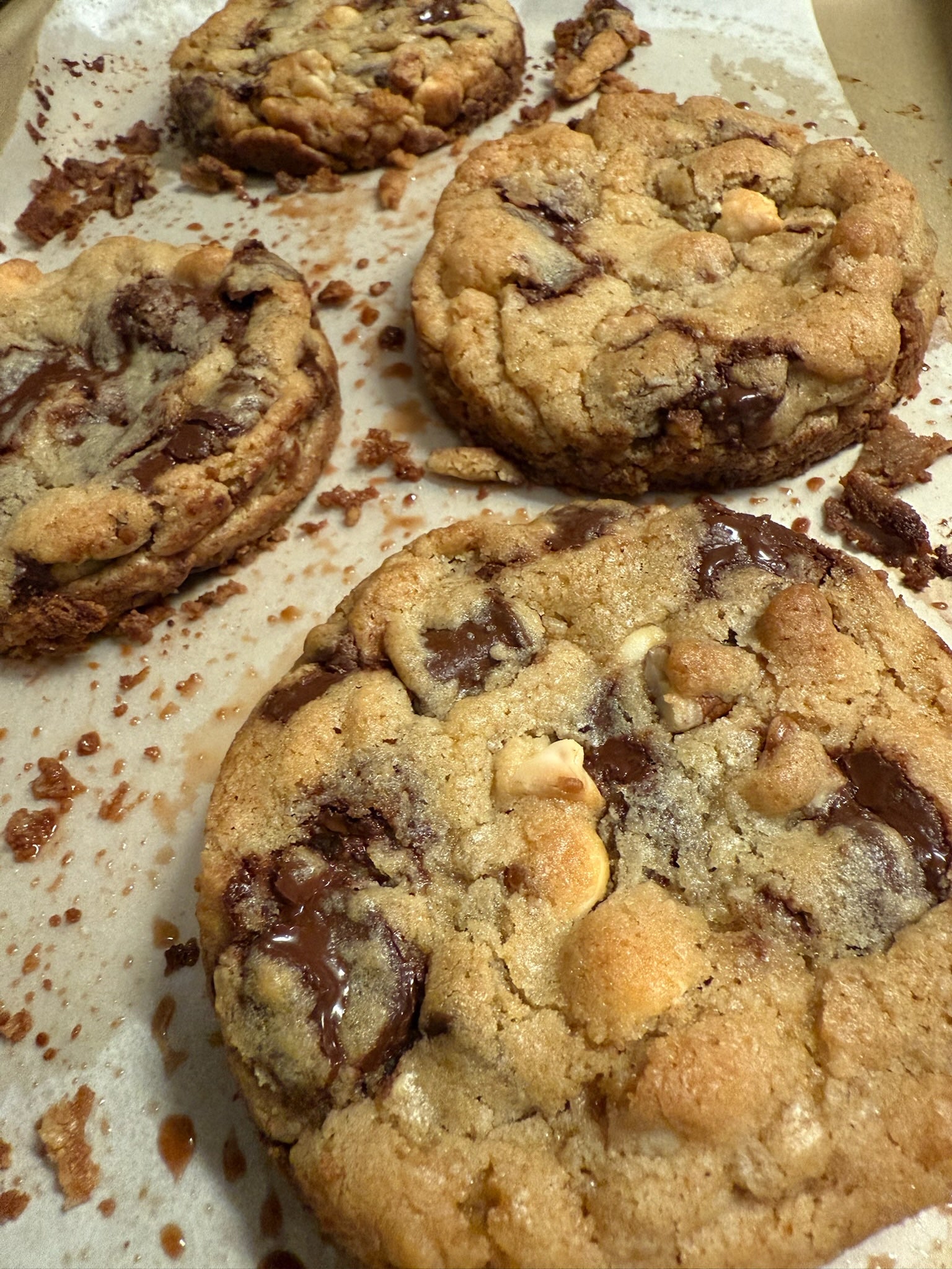 Bakery Style Walnut Chocolate Chip Cookie
